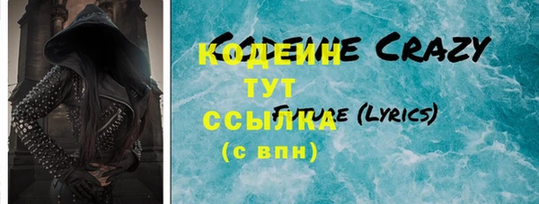 индика Заволжск