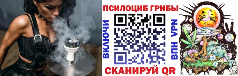 купить   Белый  Псилоцибиновые грибы MAGIC MUSHROOMS 